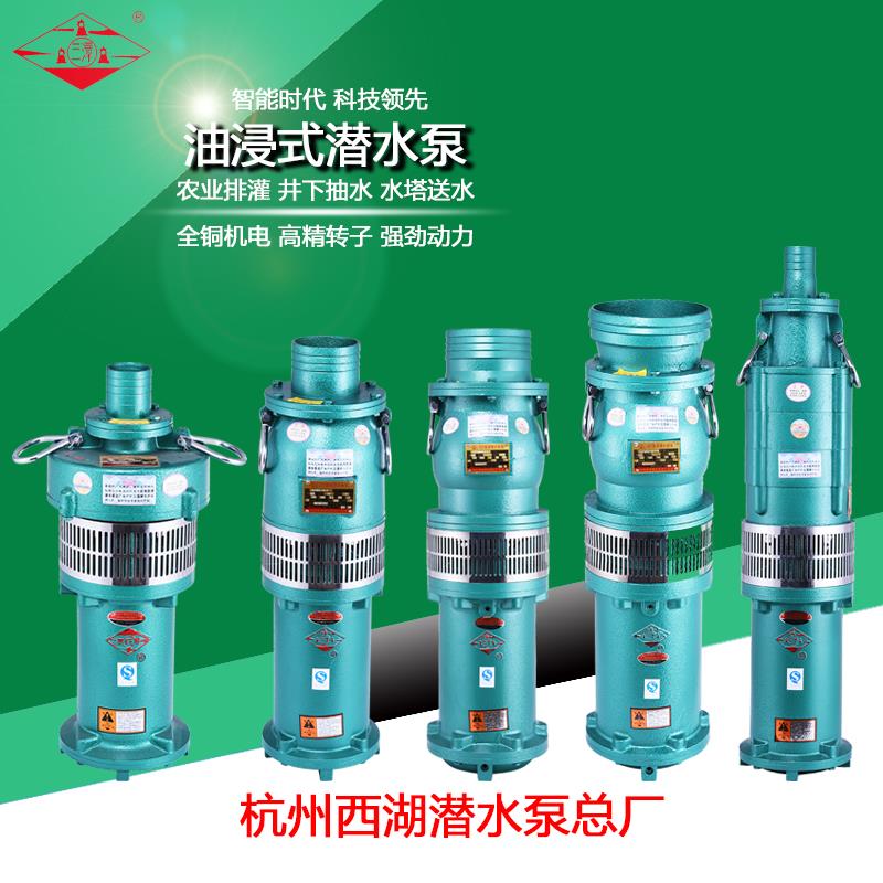杭州西湖QY油浸式潜水泵380v农用灌溉高扬程大流量抽水机三相深井