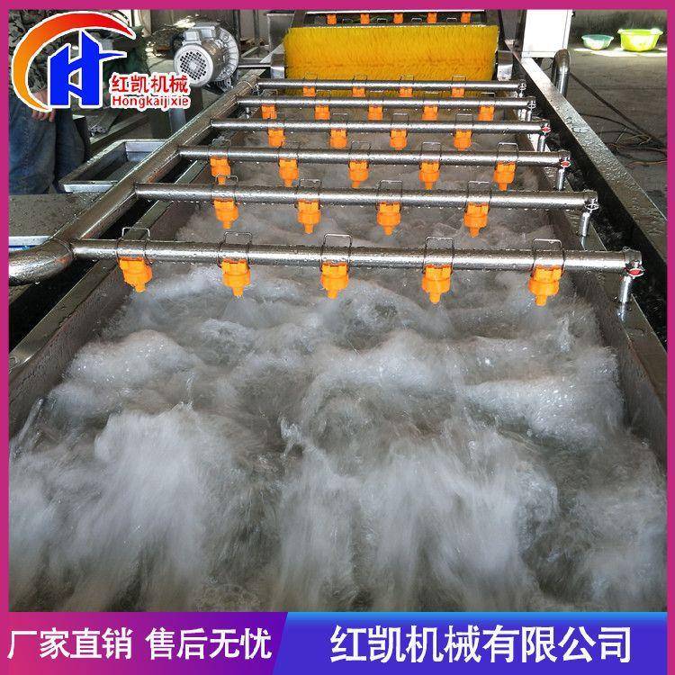 全自动果蔬气泡清洗机山楂黄桃樱桃蓝莓清洗机罐头加工清洗设备