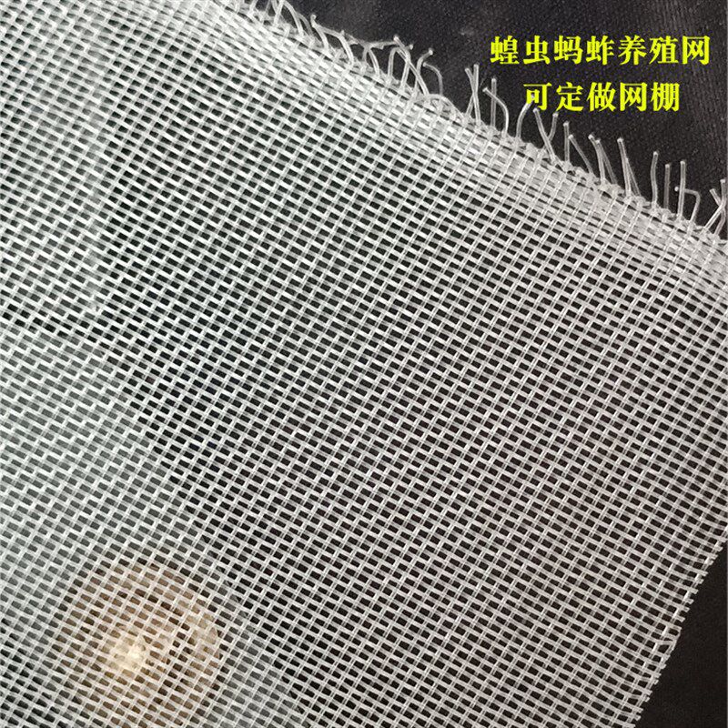 塑料养殖网蚂蚱养殖网青蛙养殖防逃网大棚防虫网罩