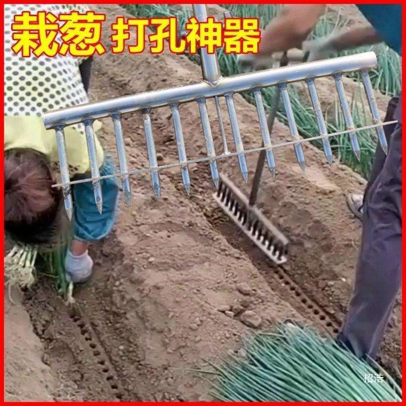 种葱大葱种植工具叉子洋葱打眼打洞机移苗栽苗打孔器种菜机器