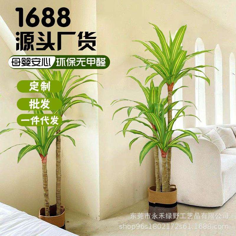 仿真绿植巴西木盆栽仿真植物室内商场装饰摆件千年木龙舌兰盆景