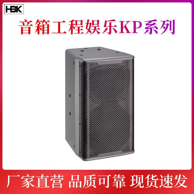 10英寸吊挂式音响KTV卡拉OK低频音响套装歌厅舞台演出专业音箱