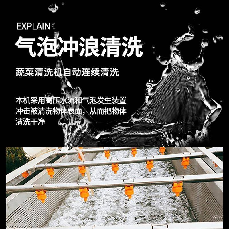 用自动果蔬清洗机蔬NST自菜水果肉类净菜机  气商泡冲浪动连续清