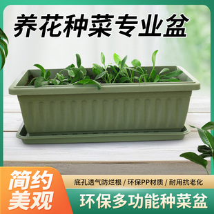 花盆阳台种菜盆蔬菜种植盆栽专用箱长方形家用塑料长条盆庭院种花