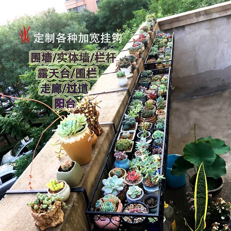 围墙架阳台石栏杆天台挂式水泥墙露养多肉实体墙架子