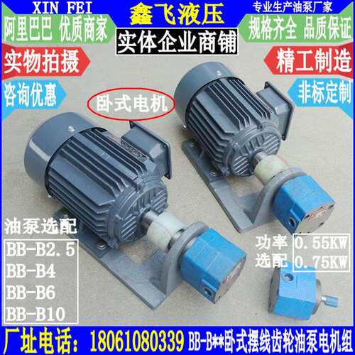 WBZ-BB-B2.5 B4 B6 B10卧式摆线齿轮油泵电机组装置WBBZ 0.55KW