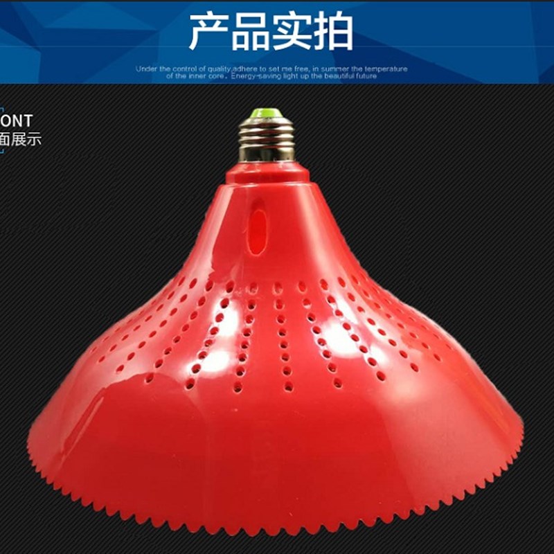 烧腊灯鲜冻品灯全红黄加红