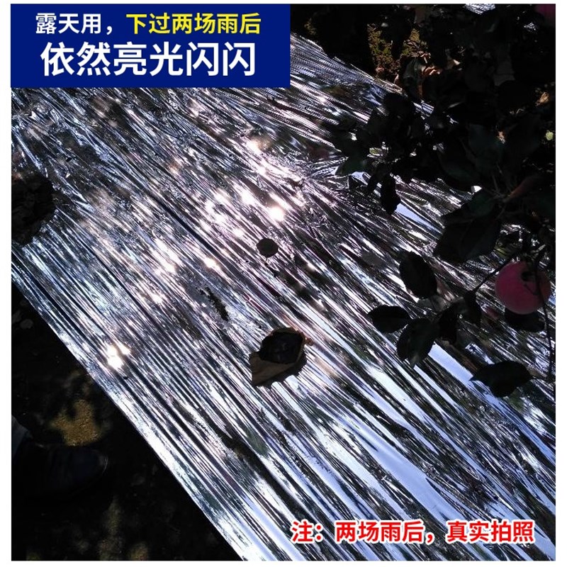 覆盖农用反光膜农资条遮阳膜银色膜上色柑橘用反射塑