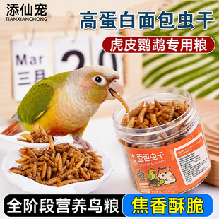 鹦鹉面包虫干奖励零食吃的虫子虎皮玄凤专用营养鸟粮饲料用品大全