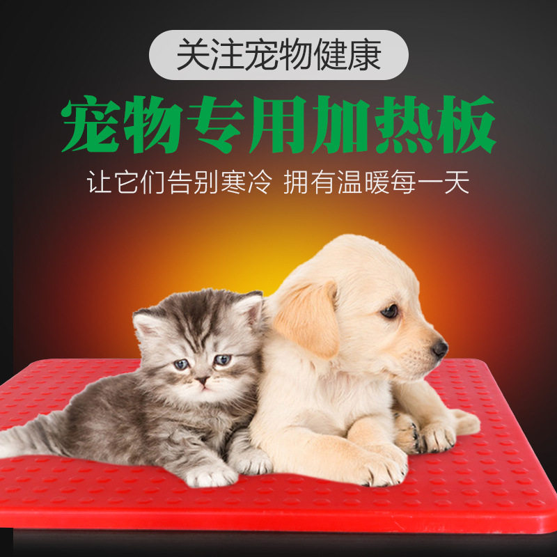 加热板狗猫兔用电热板小型动物取暖放尿恒温板宠物电热板保温设备