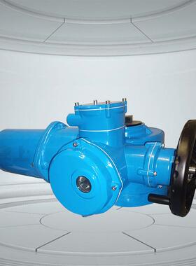 DZW20-18W/Z/TZ20-18W/Z/T伯纳德津上户外型多回转电动执行器