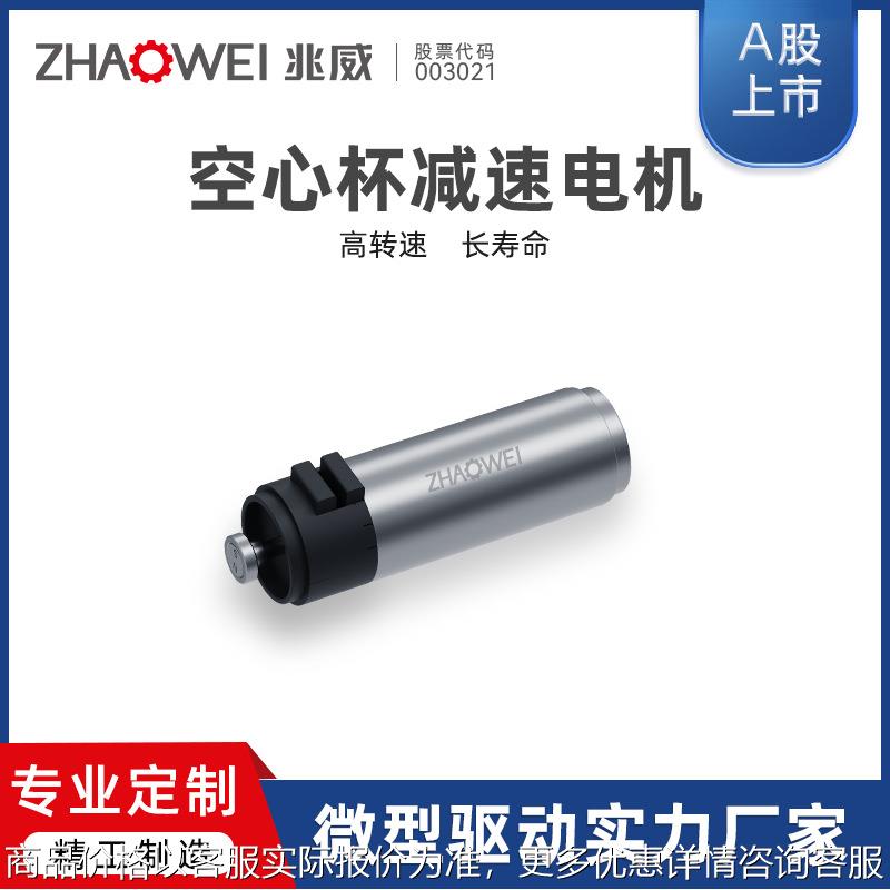 10mm高性能低噪音精密减速电机减速心律起搏系统高效空心杯电机