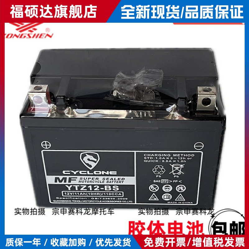 赛科龙RZ3S RG3 RE3 RX3 RX4 RC401原厂电瓶蓄电池胶体电池