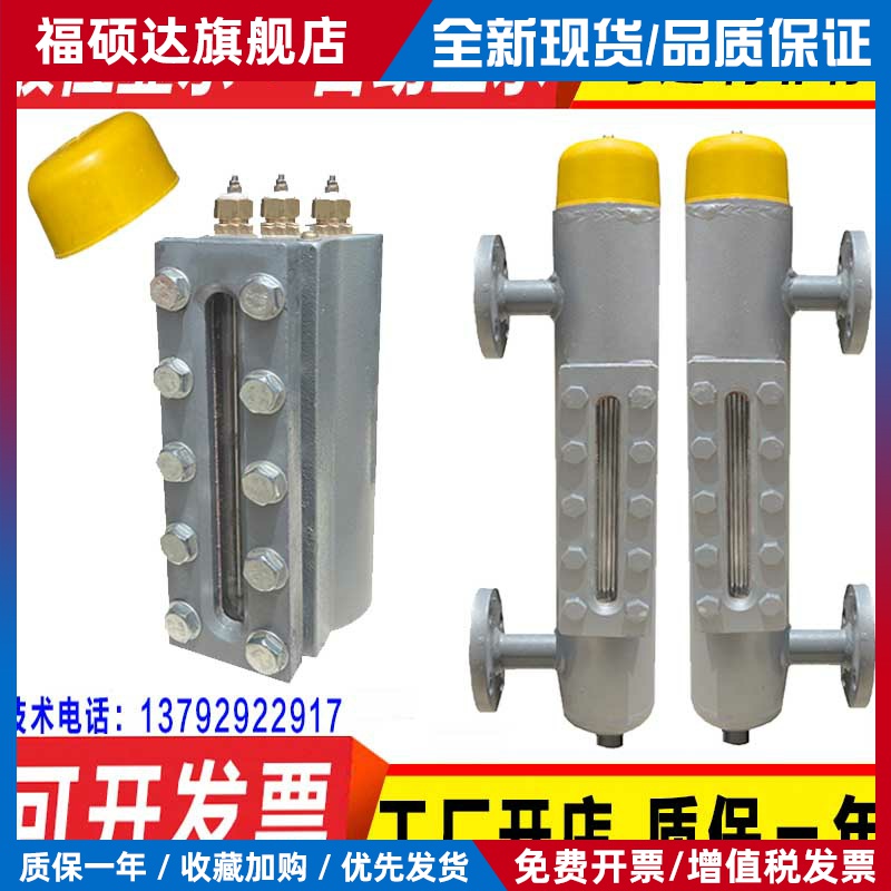 蒸汽发生器锅炉黑白水位计一体式电极式报警器接管式液位计传感器