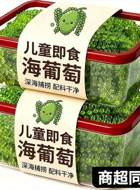 央妈推荐儿童海葡萄即食小孩吃的健康零食绿色鱼子酱新鲜盐渍凉拌