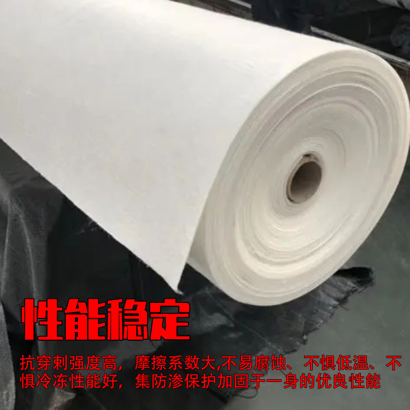 土工膜鱼塘鱼池河道护坡复合布两布膜