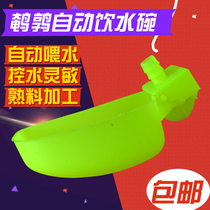 鸽子用品用具自动饮水器自动喂水碗鹌鹑小鸡小鸟水杯养殖设备