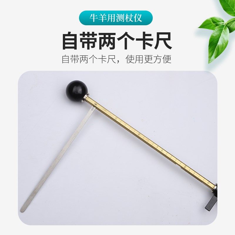 牛马测杖仪器兽用羊测仗狗测仗动物测量身测仗仪测杖铜质