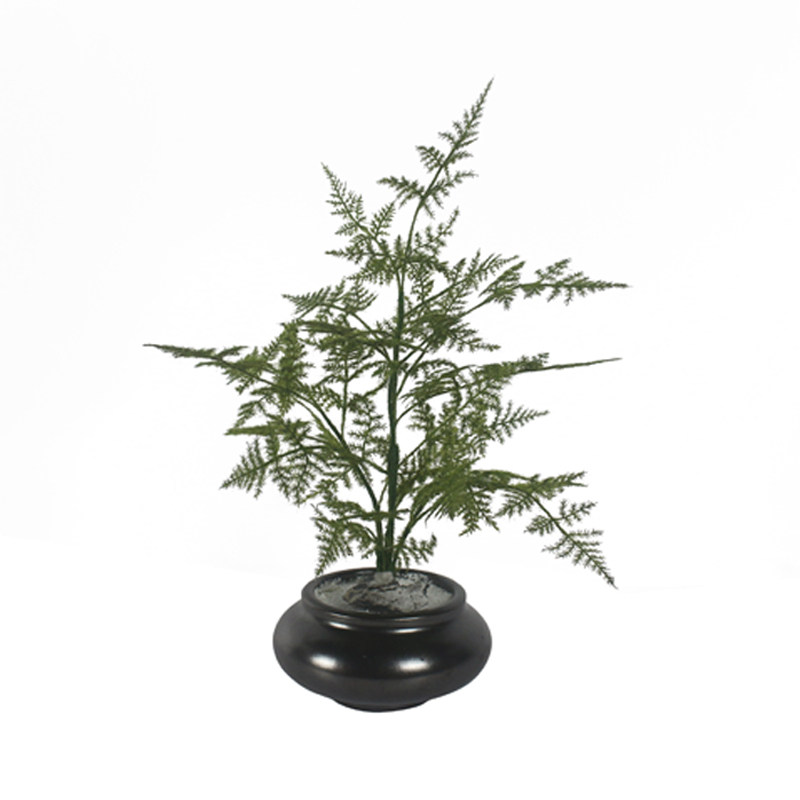 新仿真文竹盆景假山绿植招财饰品茶室玄关艺