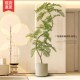 蓝楹仿真绿植室内大型假树客厅级仿生落地装 饰