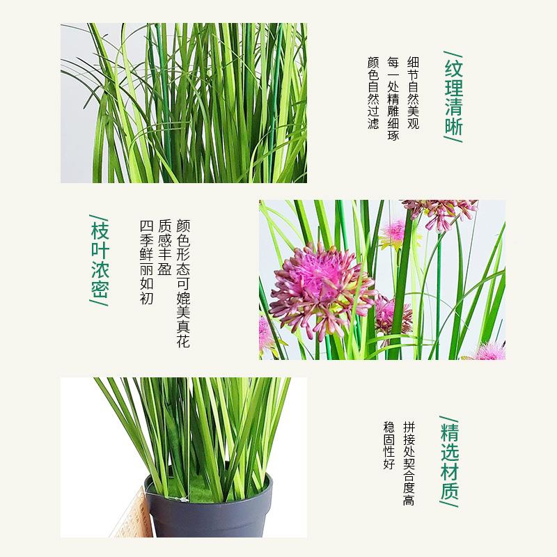i nSYXF--YCs风仿真绿盆栽家居落地饰品摆植件 仿真洋葱草 芦苇现