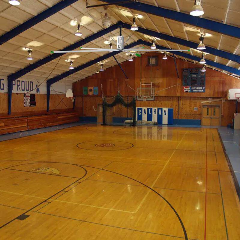 厂家体育馆风扇大面积通健适用于AF-LC-7M体育馆身房风 馆篮球吊