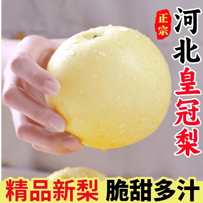 河北皇冠梨新鲜梨子9斤整箱包邮当季水果现摘砀山皇冠梨雪梨礼盒5