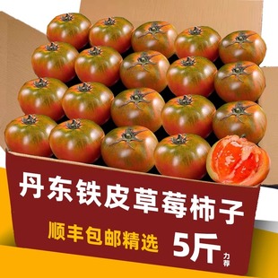 丹东草莓柿子西红柿新鲜自然熟铁皮柿子盘锦碱地生吃水果番茄顺丰