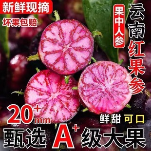 云南红果参当季新鲜水果蜘蛛果算盘果包邮整箱