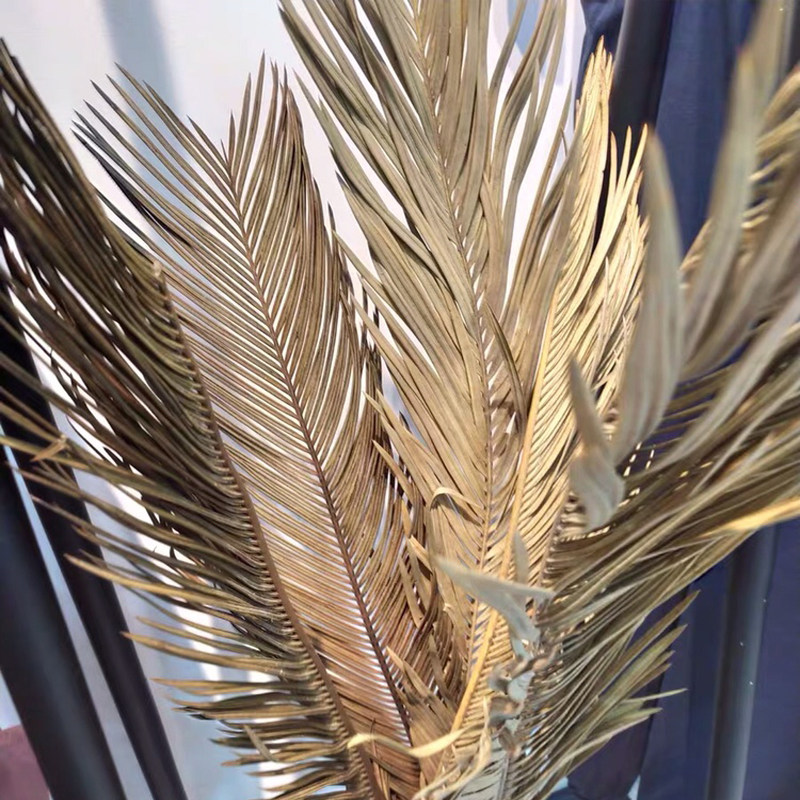 铁树叶干 支枯叶子 铁树枯叶婚庆饰造景布置拍摄道具摆