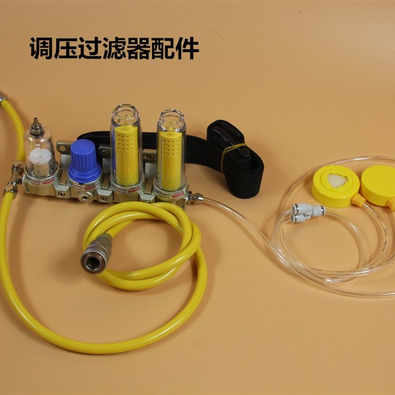 供气式防毒面具全面罩防粉尘化工喷漆喷塑喷沙打磨压