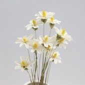 文心兰木槿天然手工艺术干家居装 饰插小新小滨菊