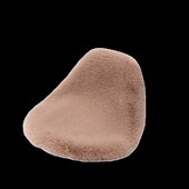 冬季 踏板车坐垫毛绒加厚保暖街车仿赛拉力三箱座垫防滑