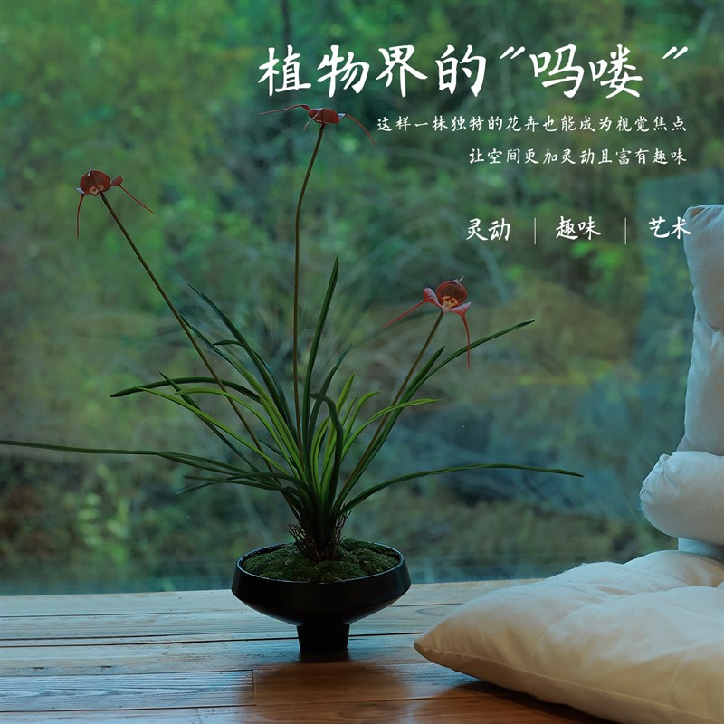 仿真绿植装饰猴面兰软装陈设茶室民宿搭配物