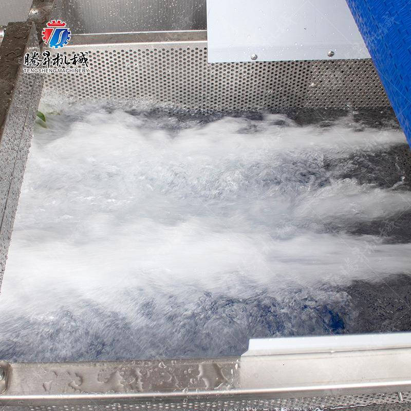 菠萝气GLU清泡洗振动风 干产线 风干设备 水果加工机械生气泡清洗