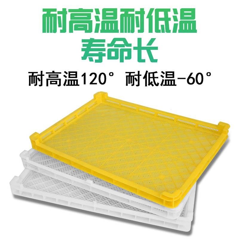 沥水网格板晒东西的干货网长方形食物晾晒筐塑料单冻器冷冻烘干盘