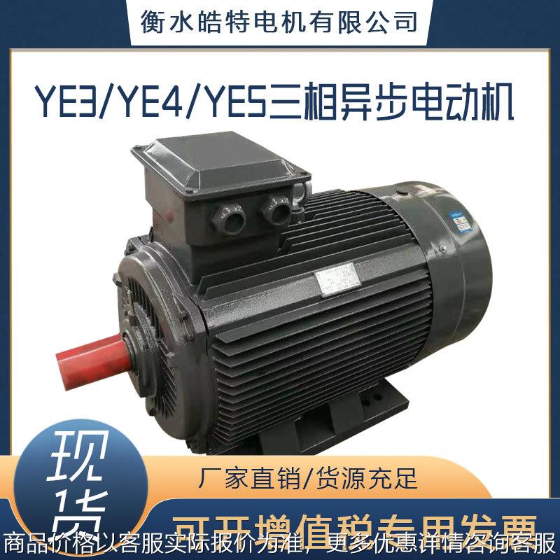 90W高效率低能效电机/异步电机厂家货源/3/2/1级能效YE3/YE4/YE5