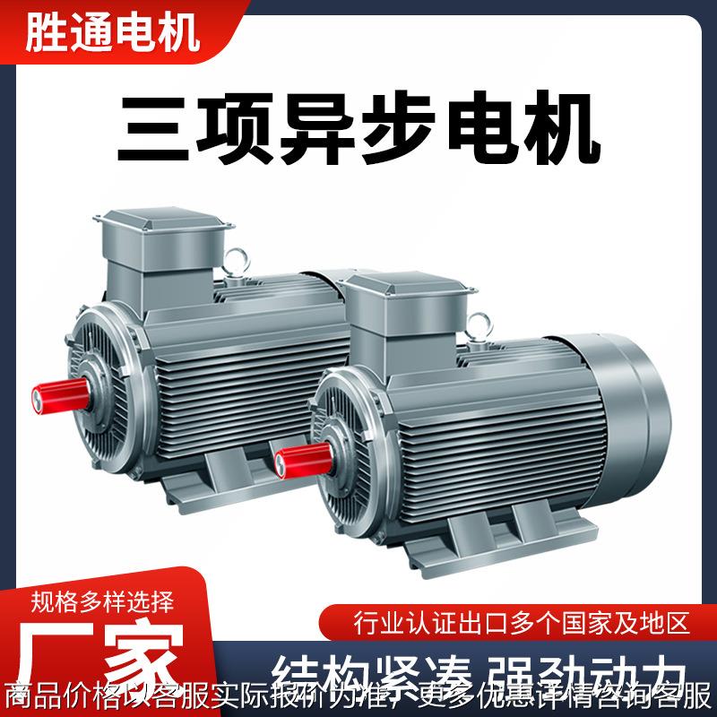 YE3系列160L-6极高效率三相异步电动机 全桐电动车用交流电机马达