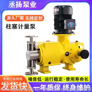 计量泵CYJ系列加药泵水处理 材质可定 高压柱塞计量泵 柱塞式