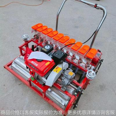 十行蔬菜播种机 免间苗菜籽播种机 多功能菜叶种子育苗机全自动