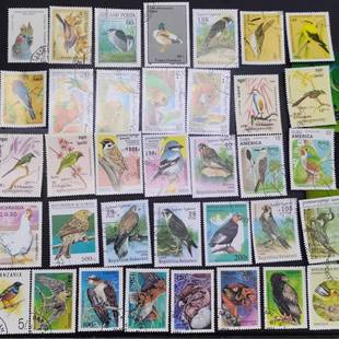 外国邮票专题邮票外国鸟类盖销邮票100枚不同飞禽类邮票收藏真票