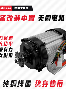 电动三轮车电机24V48v800W000W中置减速直流无刷马达改装