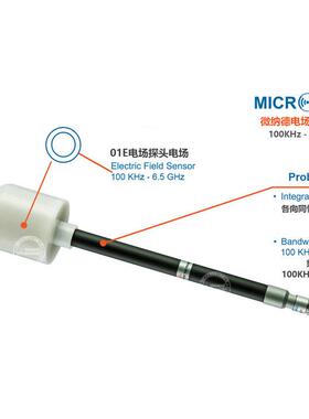 意大利MICRORAD微纳德PROBE02E电场探头400KHz-40MHz配NHT-310