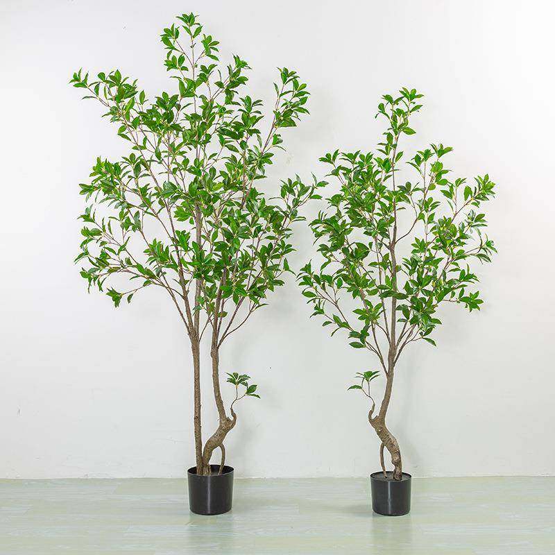 仿真植物假绿植马醉木盆栽家居室内大型落地仿真树盆景摆件真,鲜花速递/花卉仿真/绿植园艺,仿真绿植,淘宝优惠券,粉丝福利购,淘宝优惠卷
