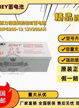 西力SEHEY蓄电池NPG100-12免维护光伏路灯太阳能胶体电池12V200AH