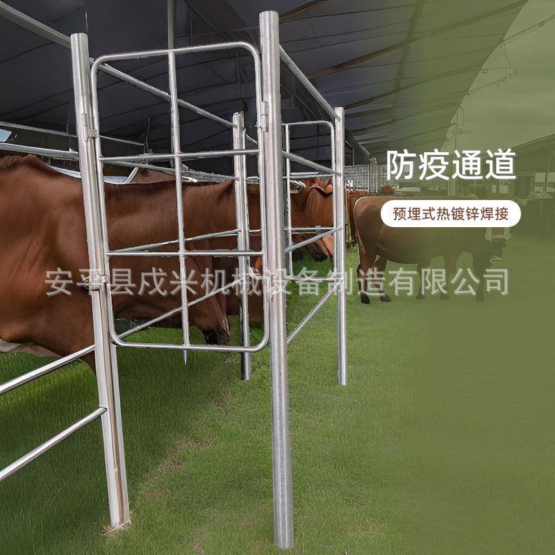 牛打针架子牧场围栏项目代加工国标加厚热镀锌管焊接预埋式设计