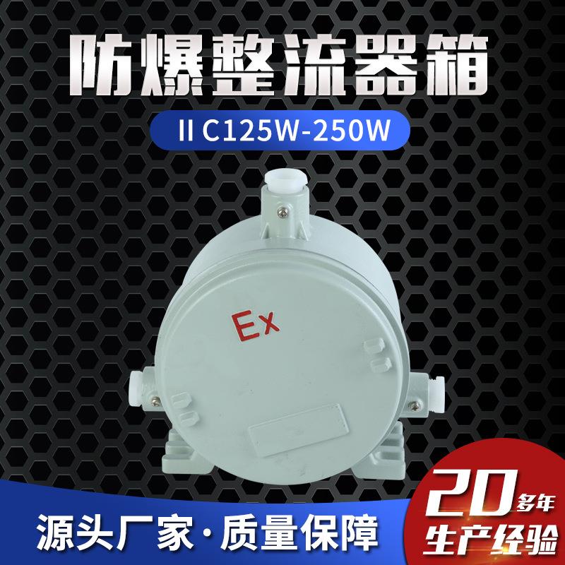 整流器箱配电箱ⅡC125W-250W应急电源箱分线箱防爆电源箱控制箱