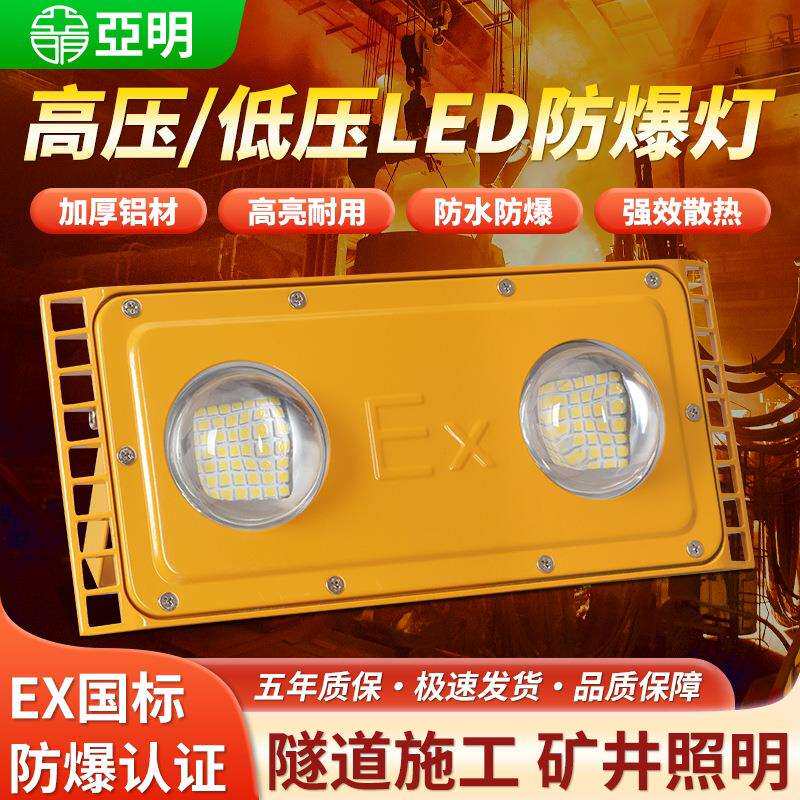 LED防爆隧道灯低压工厂车间仓库照明加油站船用220V36V24V投光灯