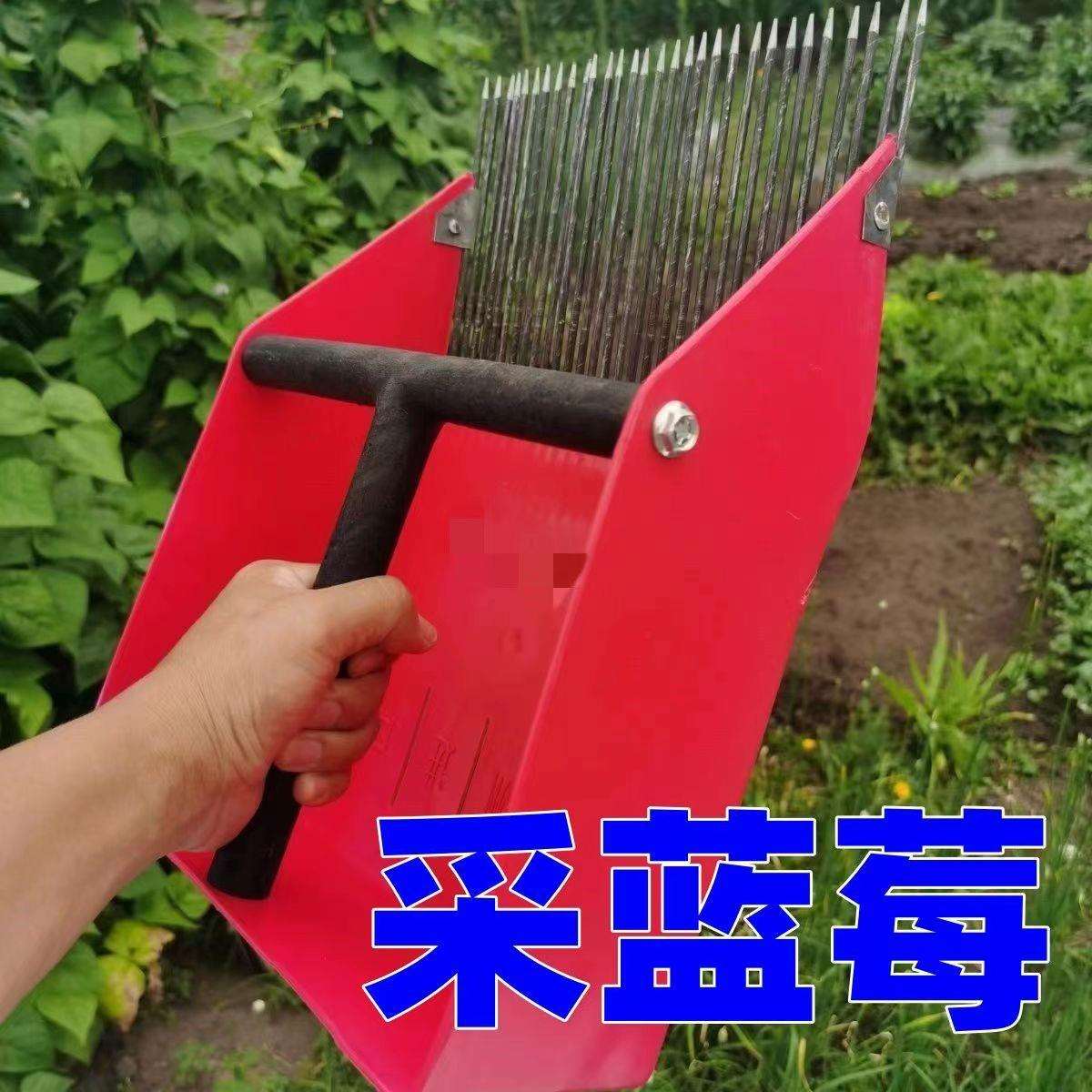 采蓝莓工具蓝莓采摘工具蓝莓采摘神器红豆花籽树籽
