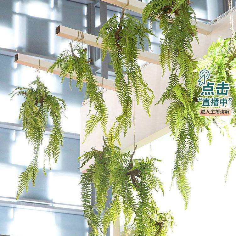 室内空中垂吊树根蕨仿真绿植物吊饰家居创意花艺设计